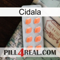 Cidala 26